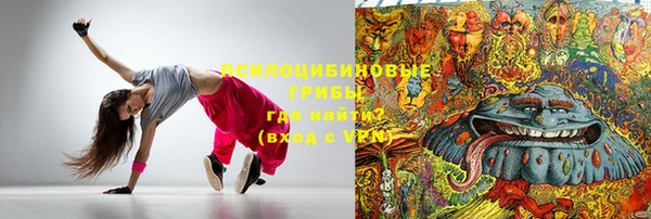 крисы Осташков
