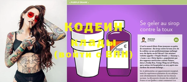 крисы Осташков