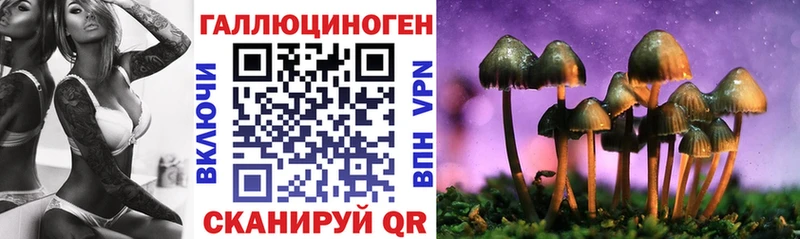 купить закладку shop клад Псилоцибиновые грибы ЛСД Гагарин